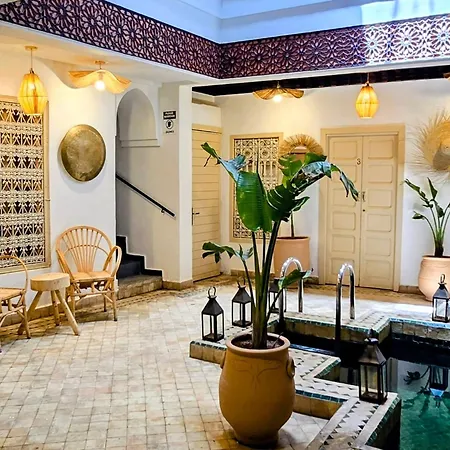 Riad Hajar '-3